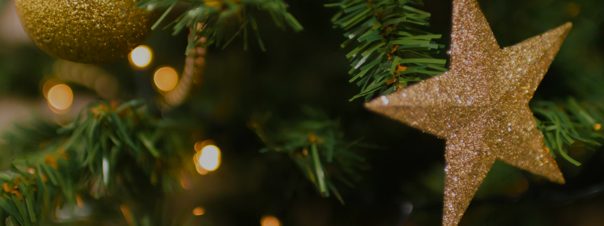 Carols on the Green*Saturday 20th December @ 6pm*
