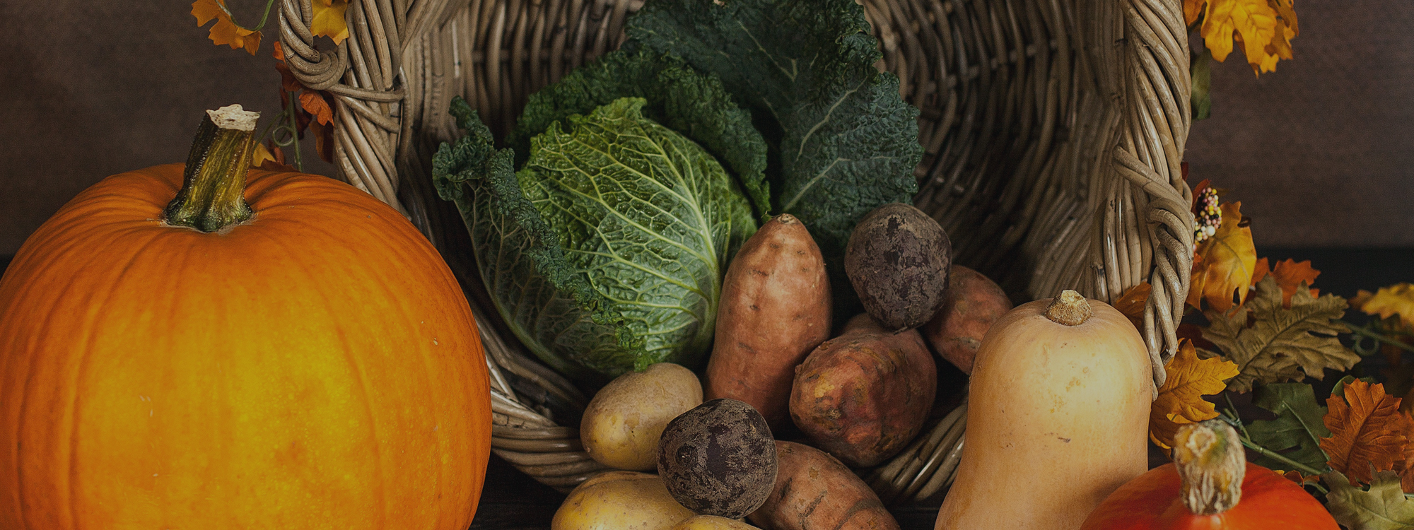 HARVEST FESTIVAL*Sunday 27th September @ 10.30am*